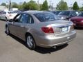 Pewter - L Series L200 Sedan Photo No. 6