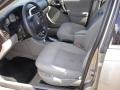 Pewter - L Series L200 Sedan Photo No. 10