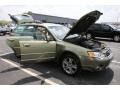 Willow Green Opal - Outback 3.0R L.L.Bean Edition Wagon Photo No. 52