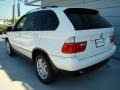 Alpine White - X5 3.0i Photo No. 4