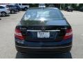 Black - C 300 4Matic Photo No. 11