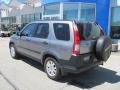 Silver Moss Metallic - CR-V EX 4WD Photo No. 4