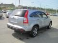 2008 Whistler Silver Metallic Honda CR-V EX-L 4WD  photo #6