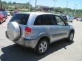 2001 Titanium Toyota RAV4 4WD  photo #6