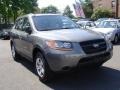 Steel Gray - Santa Fe GLS Photo No. 3
