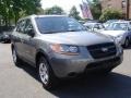 2009 Steel Gray Hyundai Santa Fe GLS  photo #3