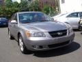 Steel Gray - Sonata GLS V6 Photo No. 3