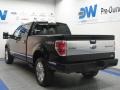 2010 Tuxedo Black Ford F150 Platinum SuperCrew 4x4  photo #3