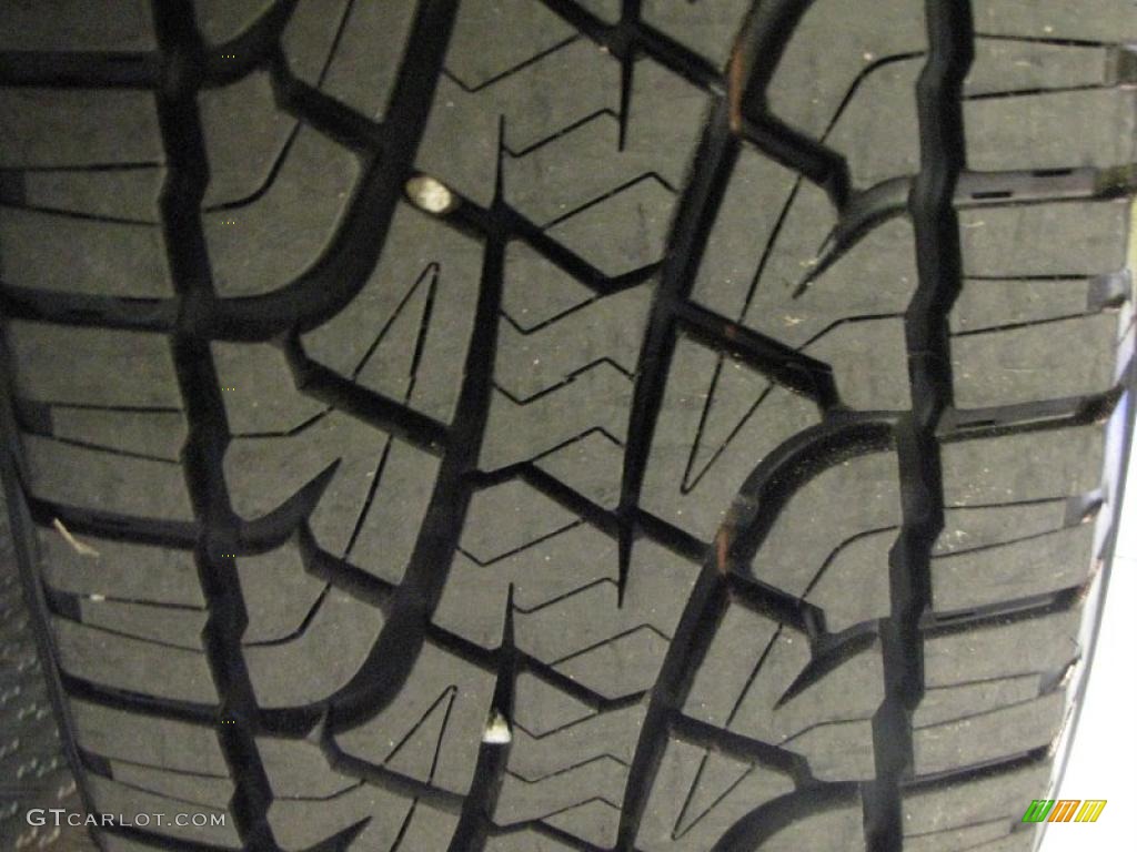 2010 F150 Platinum SuperCrew 4x4 - Tuxedo Black / Sienna Brown Leather/Black photo #21