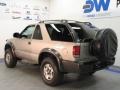 Light Pewter Metallic - Blazer LS 4x4 Photo No. 3