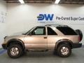 Light Pewter Metallic - Blazer LS 4x4 Photo No. 5