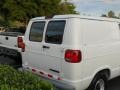 1998 White Dodge Ram Van 1500 Commercial  photo #4