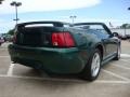 2001 Tropic Green metallic Ford Mustang V6 Convertible  photo #3