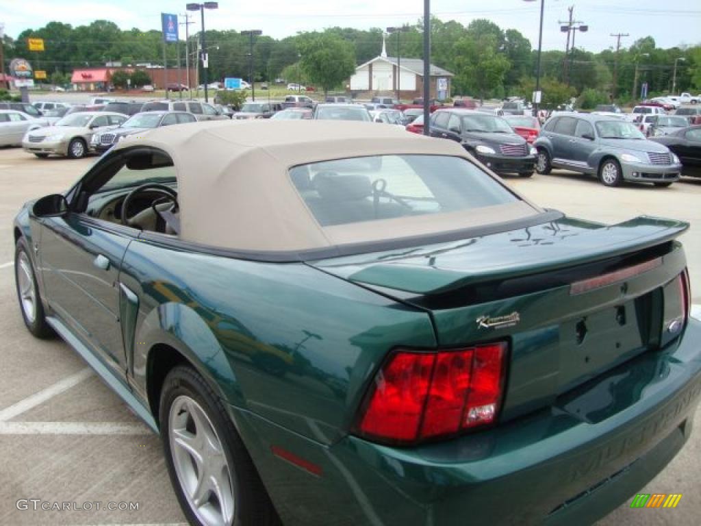 2001 Mustang V6 Convertible - Tropic Green metallic / Medium Parchment photo #24