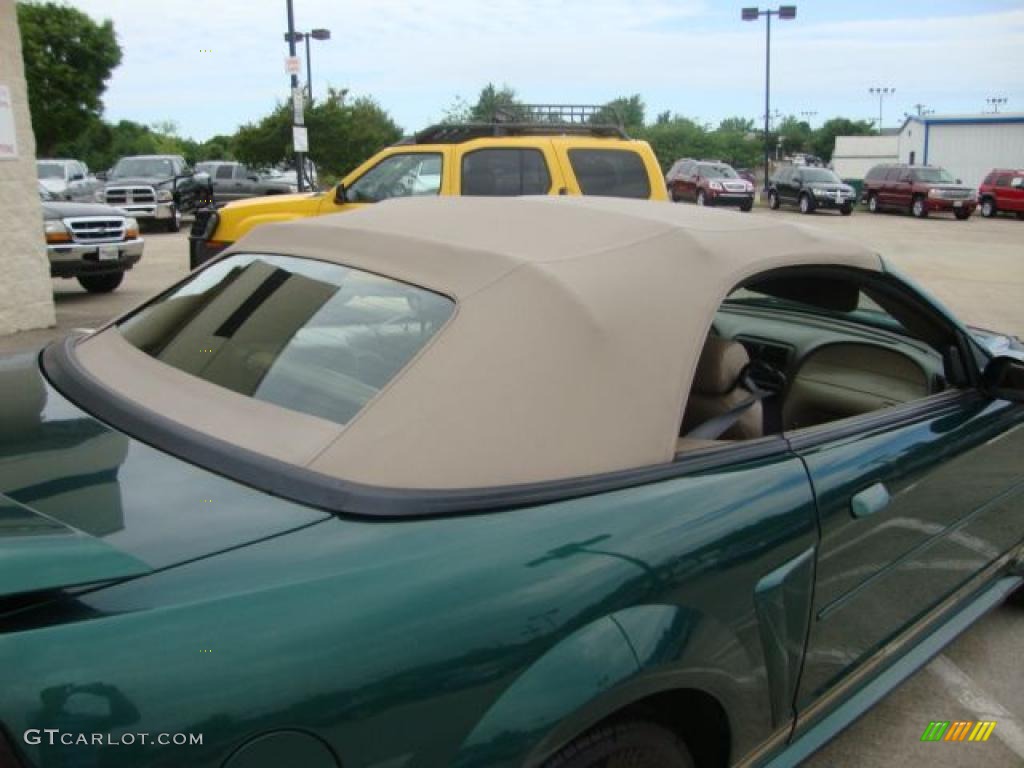 2001 Mustang V6 Convertible - Tropic Green metallic / Medium Parchment photo #25
