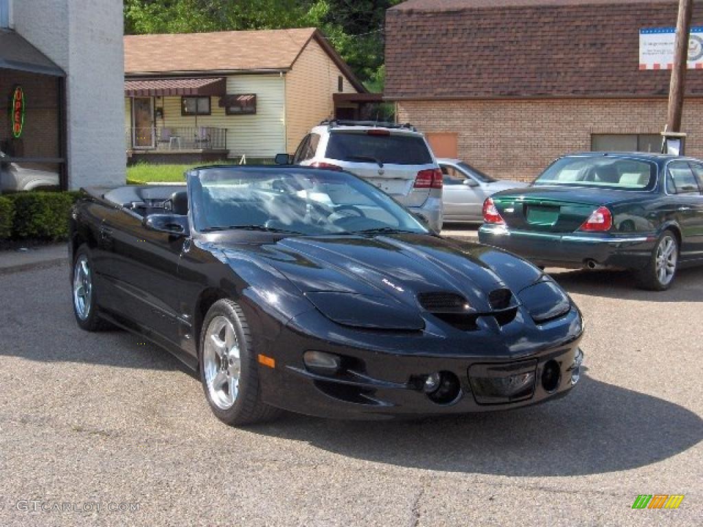1998 Black Pontiac Firebird Trans Am Convertible 29536713 Black Pontiac Firebird Trans Am Convertible