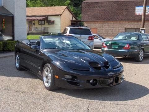 1998 Pontiac Firebird Trans Am Convertible Data, Info and Specs