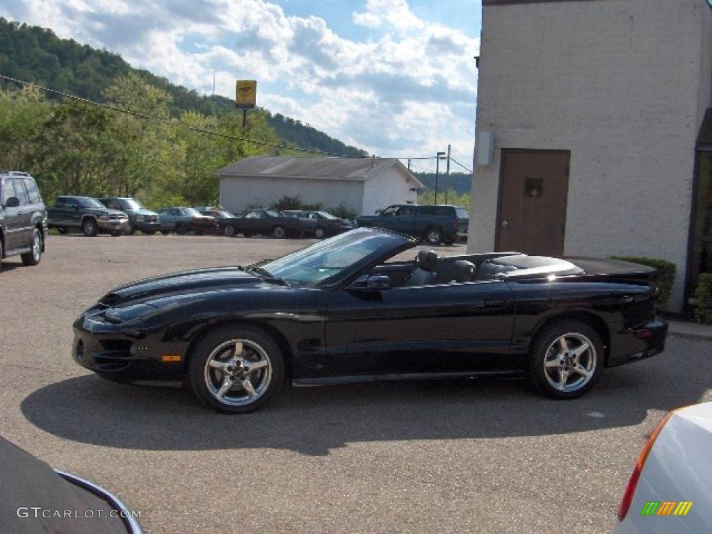 1998 Black Pontiac Firebird Trans Am Convertible 29536713 Photo 4 1998 Firebird Trans Am Convertible Black Dark Pewter Photo 4