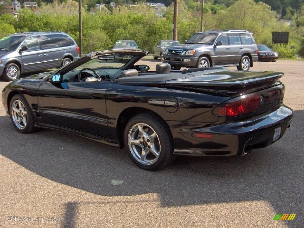 1998 Black Pontiac Firebird Trans Am Convertible 29536713 Photo 5 1998 Firebird Trans Am Convertible Black Dark Pewter Photo 5