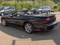 Black - Firebird Trans Am Convertible Photo No. 5