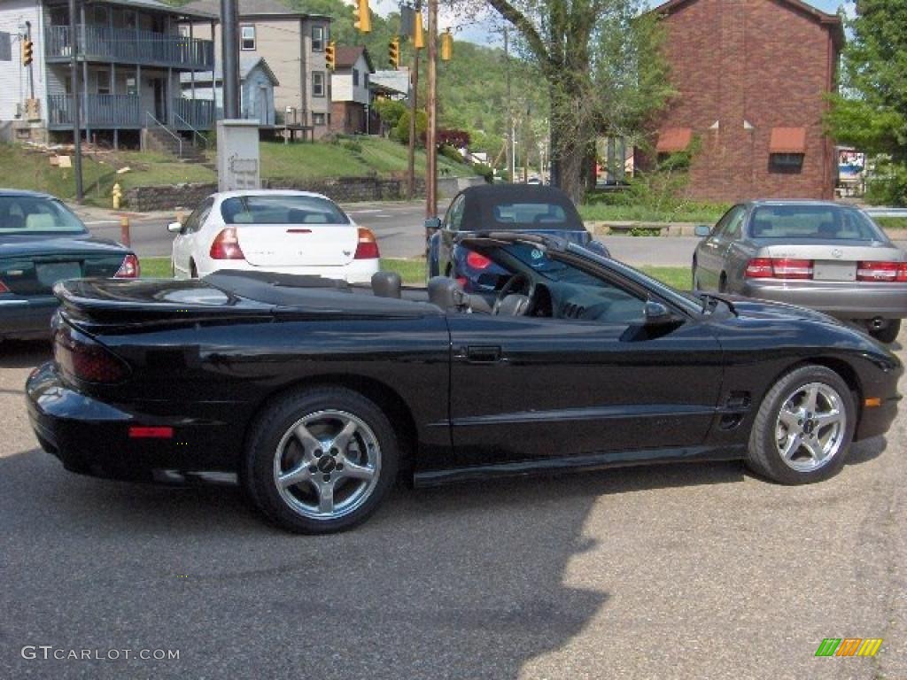 1998 Black Pontiac Firebird Trans Am Convertible 29536713 Photo 9 1998 Firebird Trans Am Convertible Black Dark Pewter Photo 9