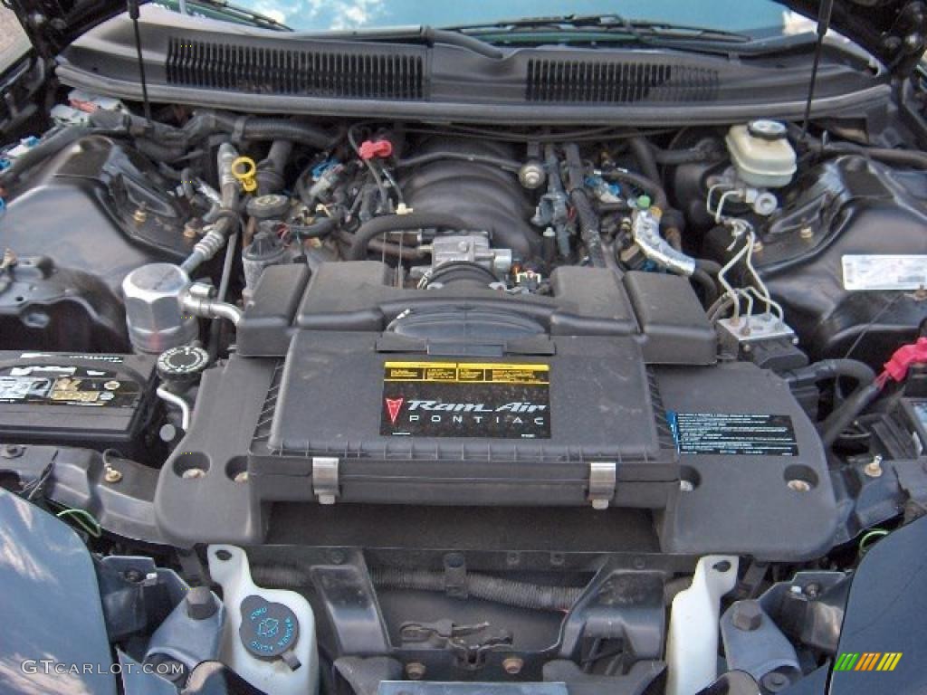1998 Firebird Trans Am Convertible - Black / Dark Pewter photo #16