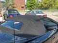 Black - Firebird Trans Am Convertible Photo No. 20