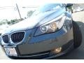 2008 Platinum Grey Metallic BMW 5 Series 528i Sedan  photo #9