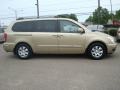 2008 Sonora Gold Hyundai Entourage GLS  photo #7