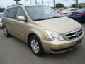 2008 Sonora Gold Hyundai Entourage GLS  photo #8