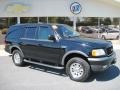 2001 Black Clearcoat Ford Expedition XLT 4x4  photo #1