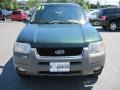 2001 Dark Highland Green Metallic Ford Escape XLT V6  photo #2