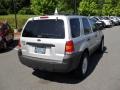 2005 Silver Metallic Ford Escape XLT V6 4WD  photo #3