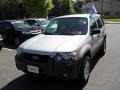 2005 Silver Metallic Ford Escape XLT V6 4WD  photo #5