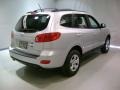 Bright Silver - Santa Fe GLS 4WD Photo No. 6