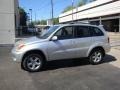 Titanium Metallic - RAV4 4WD Photo No. 1