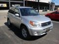 Titanium Metallic - RAV4 4WD Photo No. 6