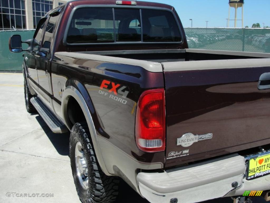 2004 F250 Super Duty King Ranch Crew Cab 4x4 - Chestnut Brown Metallic / Castano Leather photo #5