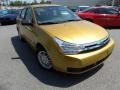 2009 Amber Gold Metallic Ford Focus SE Sedan  photo #1