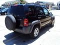 Black Clearcoat - Liberty Sport Photo No. 4