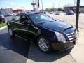 Black Raven - CTS 3.0 Sedan Photo No. 3