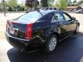 Black Raven - CTS 3.0 Sedan Photo No. 4