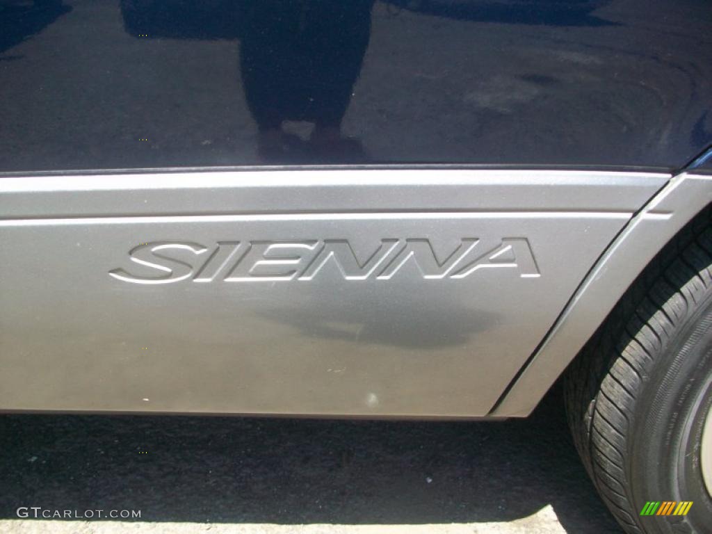 2002 Sienna XLE - Stratosphere Mica / Gray photo #7