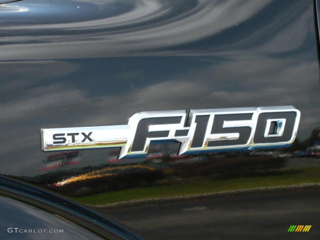 2010 F150 STX Regular Cab - Tuxedo Black / Medium Stone photo #4