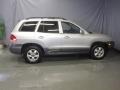Smart Silver - Santa Fe GLS 4WD Photo No. 4