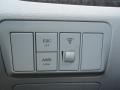 Steel Gray - Santa Fe GLS 4WD Photo No. 14