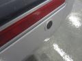 Silver Birch Metallic - Mountaineer Premier AWD Photo No. 6