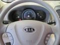 2009 Clear White Kia Sedona LX  photo #8