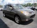 2008 Natural Khaki Metallic Hyundai Veracruz Limited  photo #5