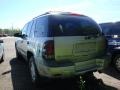 Light Pewter Metallic - TrailBlazer LS 4x4 Photo No. 4